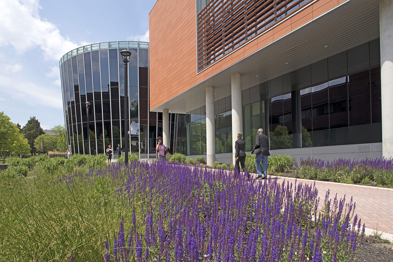 Center for Natural Sciences, Mathematics & Nursing at ...